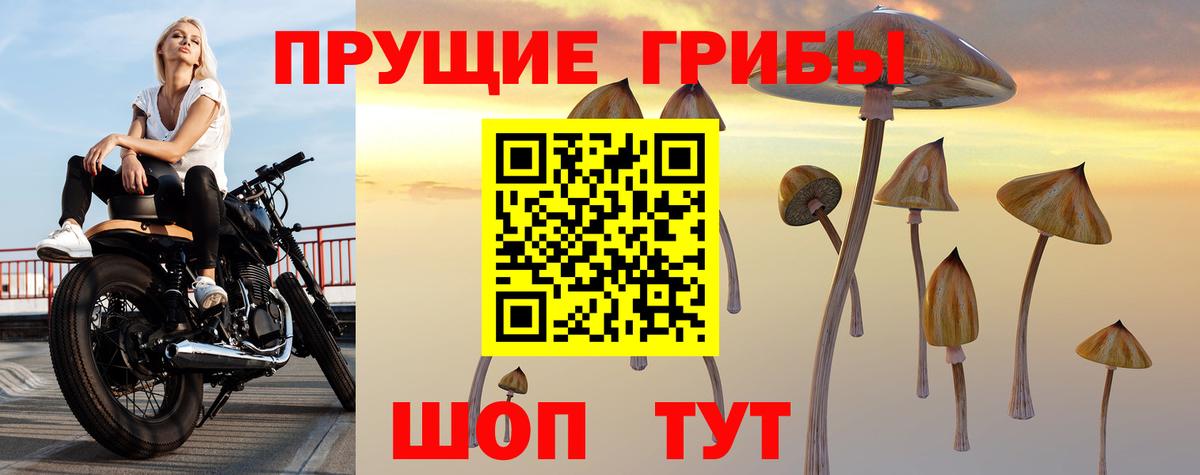 Феодосия  Псилоцибиновые грибы Cubensis  Вход с VPN 